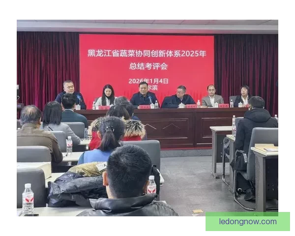 精准预测未来赛果，专业足球竞猜分析助你赢得更多收益